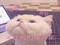 曾都区奕亨零售店
