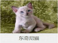 曾都区奕亨零售店