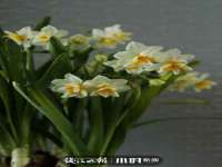 曾都区奕亨零售店