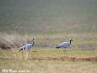 曾都区奕亨零售店