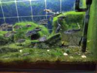 曾都区奕亨零售店