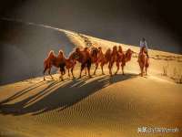 曾都区奕亨零售店